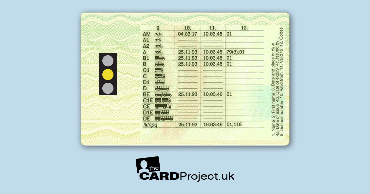 UK Provisional Drivers Licence (REAR)